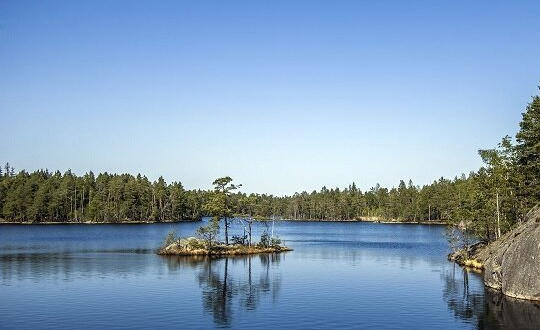 Afrikansk Catering catering service Stockholm