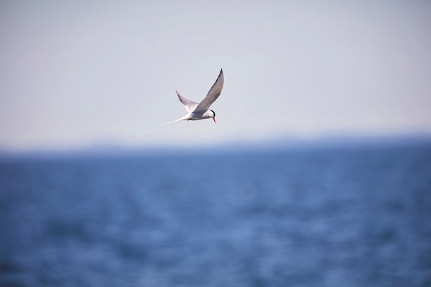 Flyttst&auml;dning k&ouml;k och badrum Uppsala