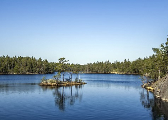 St&auml;dfirma Milj&ouml;v&auml;nlig Reng&ouml;ring Str&auml;ngn&auml;s