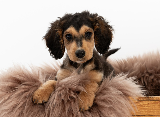 Fotografering par Växjö Fotografering par Växjö