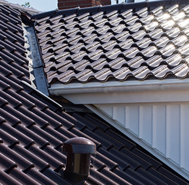 Takl&auml;ggare Professionell Service Sk&aring;ne