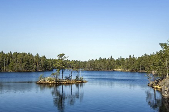 flyttstädning i göteborg flyttstädning i göteborg