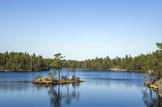 Fönsterputsning hög kvalitet gavleborg Fönsterputsning hög kvalitet gavleborg