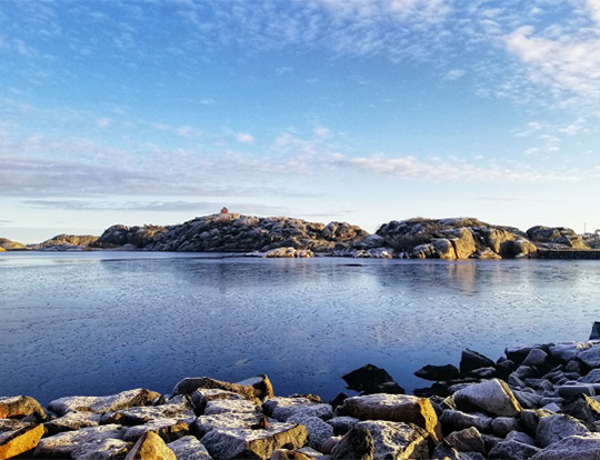 Tandl&auml;kare professionell behandling Solna