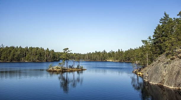St&auml;d daglig st&auml;dservice hem