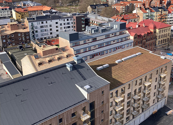 Takl&auml;ggare Snabba Resultat Sk&aring;ne