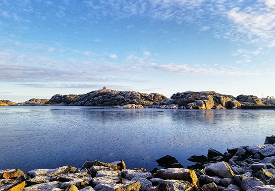 Flyttst&auml;dning golv f&ouml;nster Stockholm