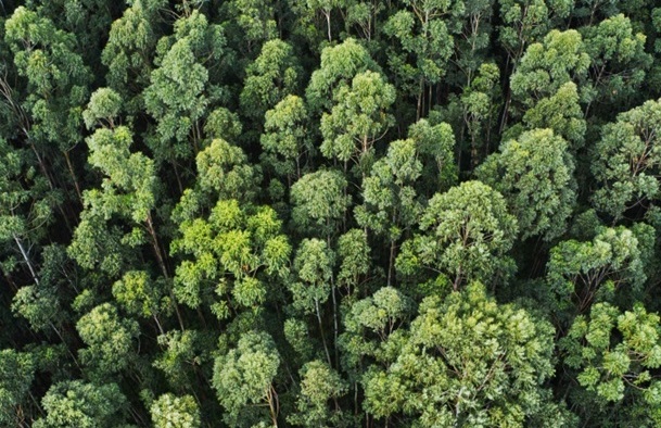 Plattsättning Drömhemmet Roslagen Plattsättning Drömhemmet Roslagen