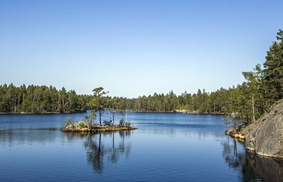 St&auml;dfirma team bild