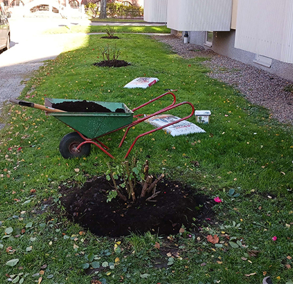 Markarbete Huddinge Plantering Markarbete Huddinge Plantering